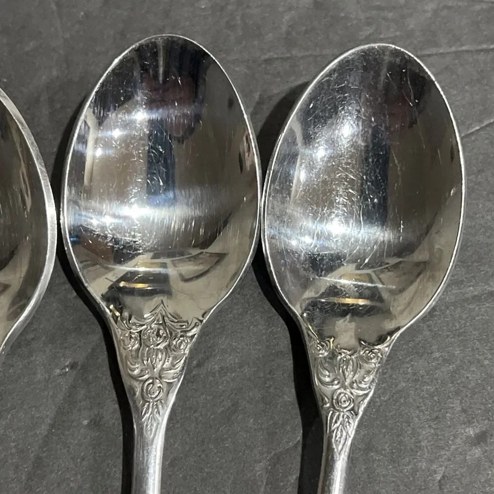 Stanley Roberts SRB269 Stainless Flatware 5 Spoons Garden Floral Rose Korea